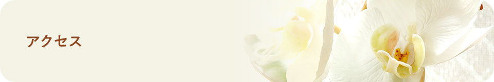 アクセス